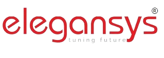elegansys tuning future